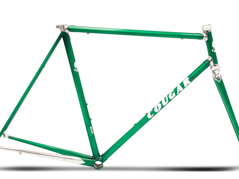 Cougar Steel Green 1