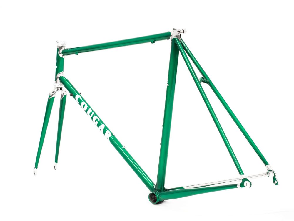 Cougar Steel Green 3